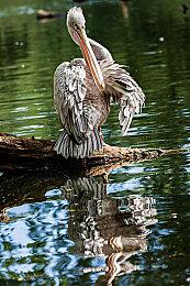 3DM速报：腾讯武侠新作即将公布，I社新作预告放出，Steam夏促开启！